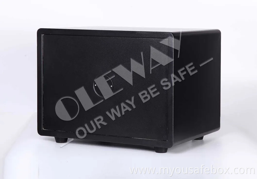 Fingerprint Fireproof Safe One Hour Fire Rating Good for Home and Business Use